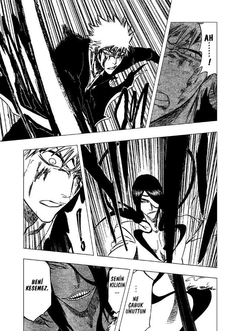 Bleach - Bölüm 290 - Sayfa 10