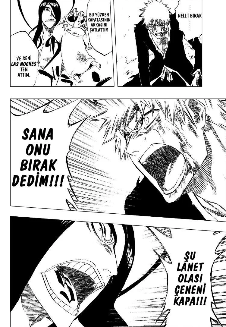 Bleach - Bölüm 290 - Sayfa 13