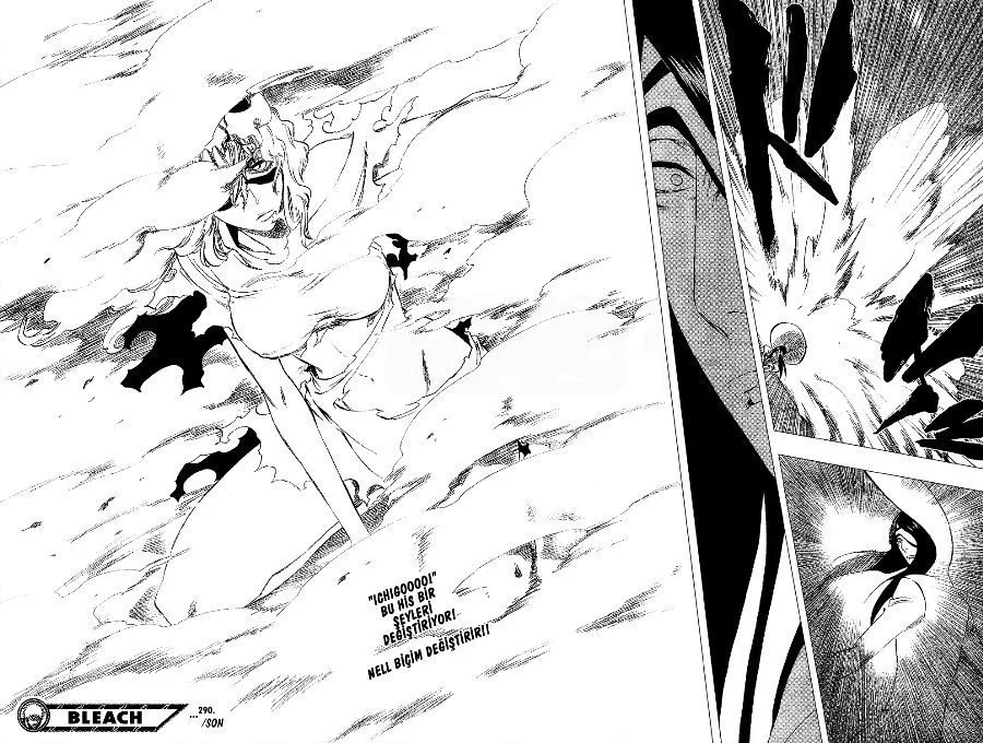 Bleach - Bölüm 290 - Sayfa 17