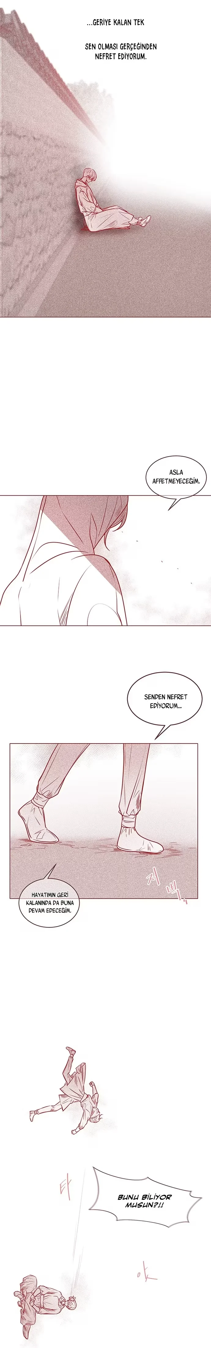 The Snake and the Flower - Bölüm 0 - Sayfa 13