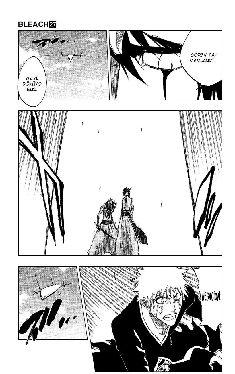 Bleach - Bölüm 236 - Sayfa 15