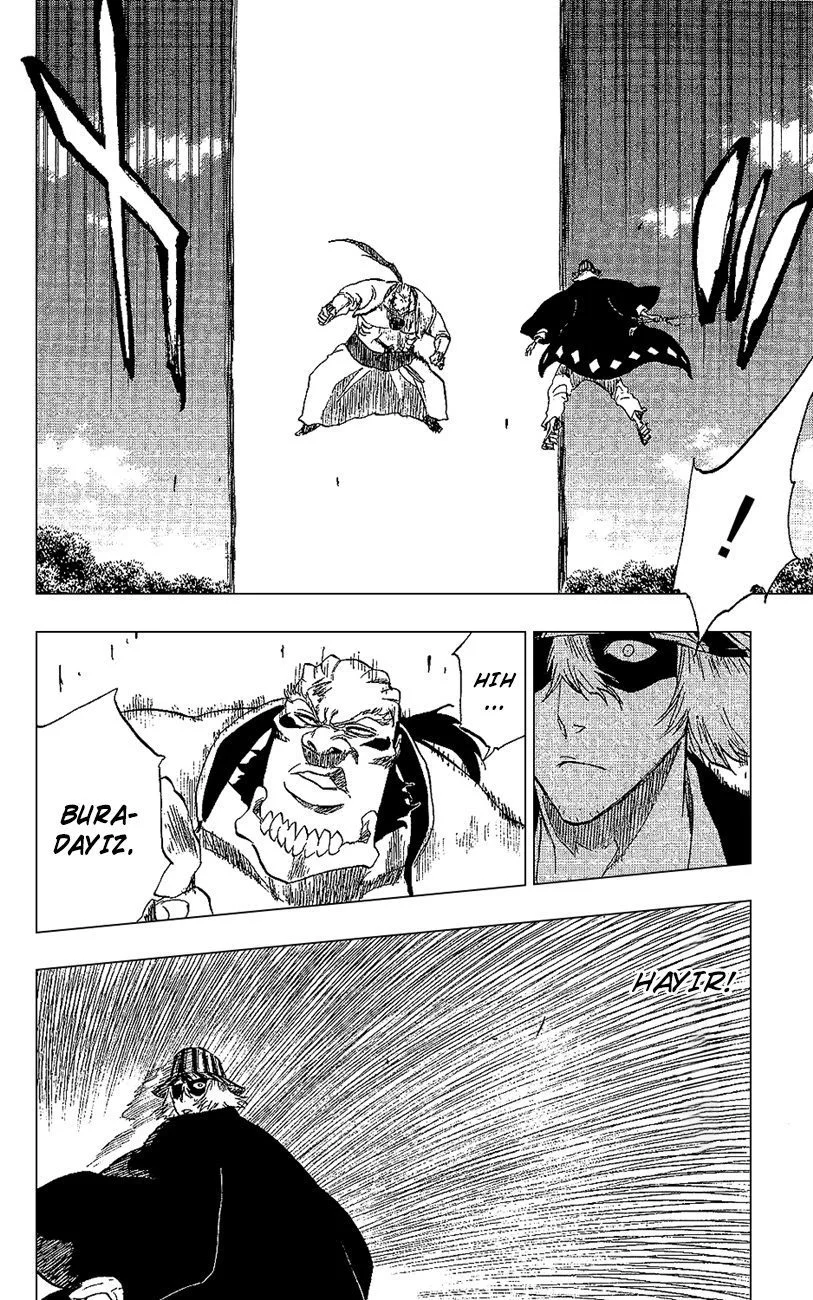 Bleach - Bölüm 236 - Sayfa 16