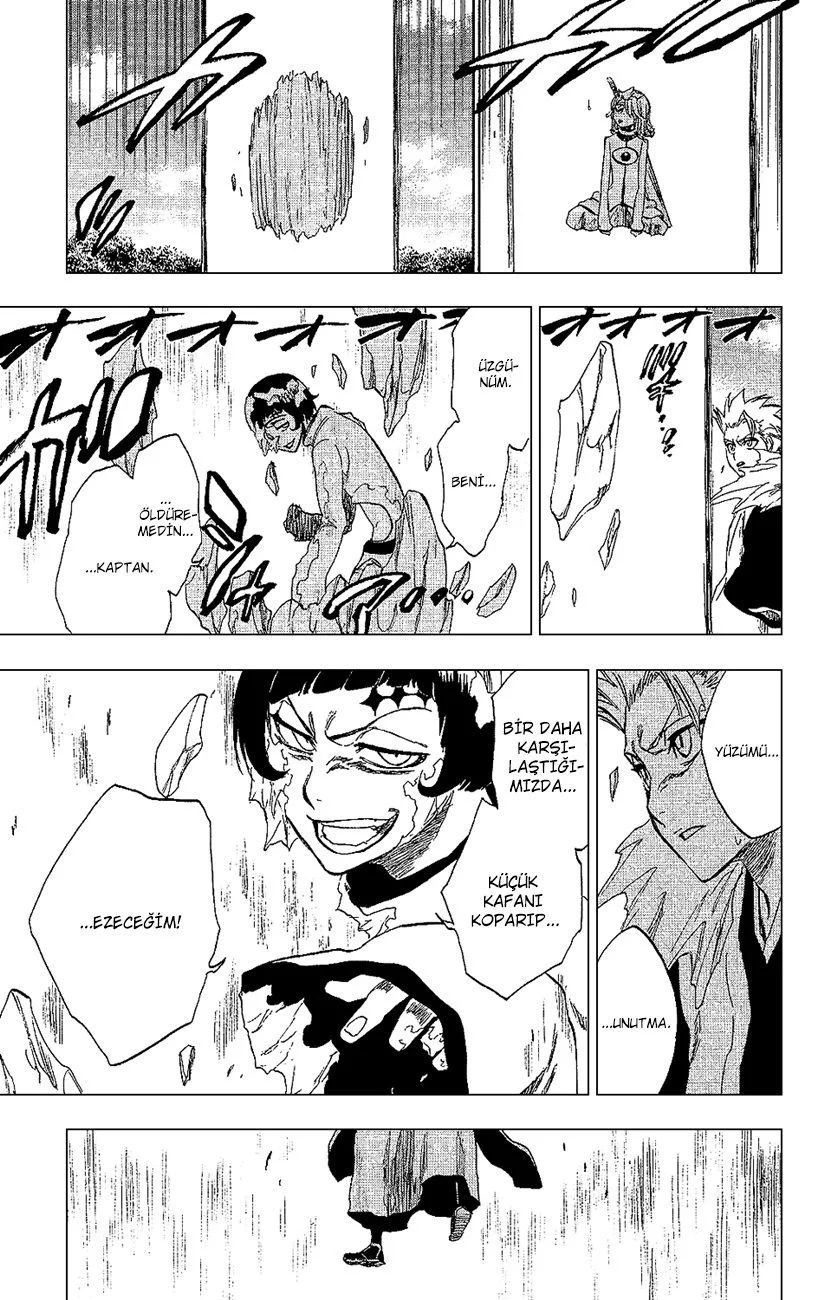 Bleach - Bölüm 236 - Sayfa 17
