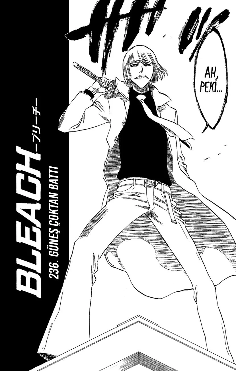 Bleach - Bölüm 236 - Sayfa 4