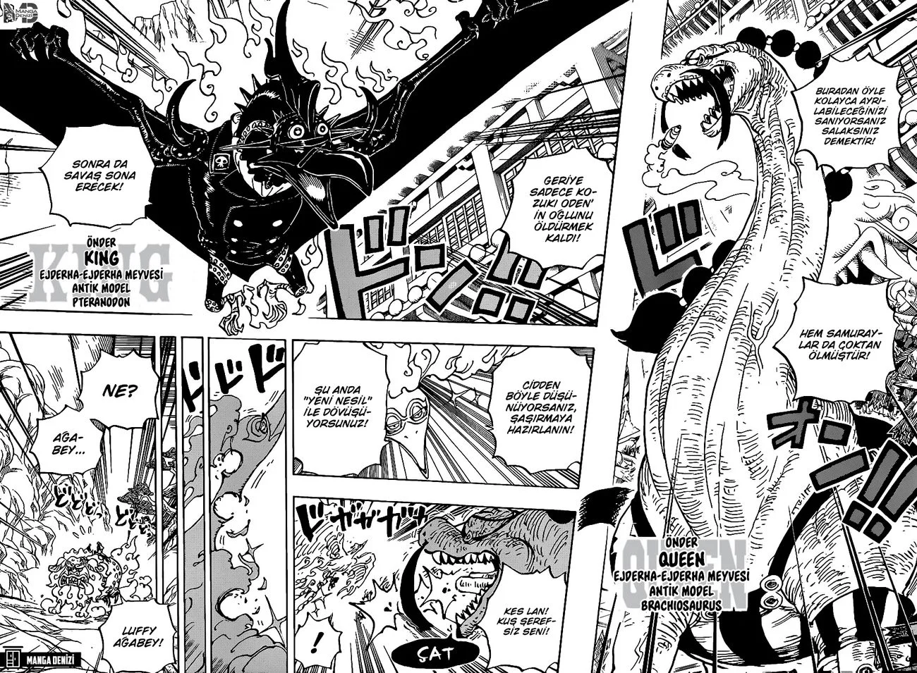 One Piece - Bölüm 999 - Sayfa 13