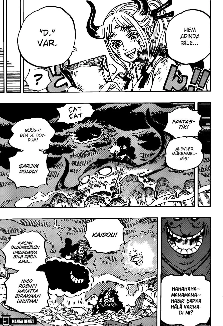One Piece - Bölüm 999 - Sayfa 15