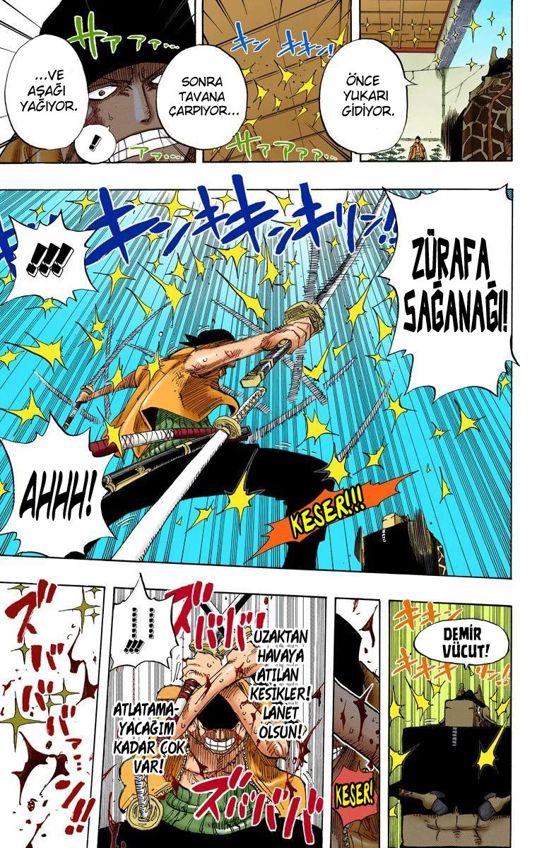 One Piece - Bölüm 416 - Sayfa 13