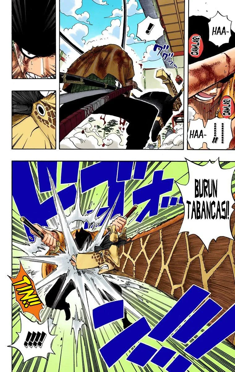 One Piece - Bölüm 416 - Sayfa 14