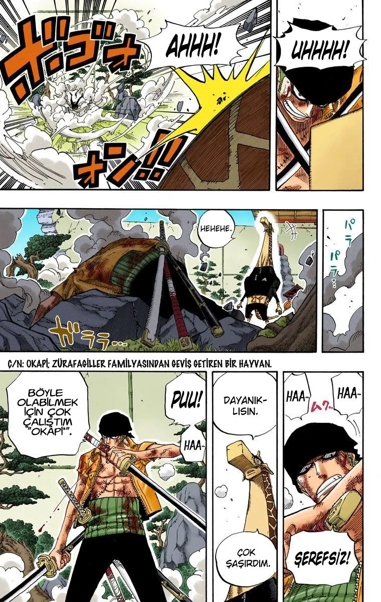 One Piece - Bölüm 416 - Sayfa 15
