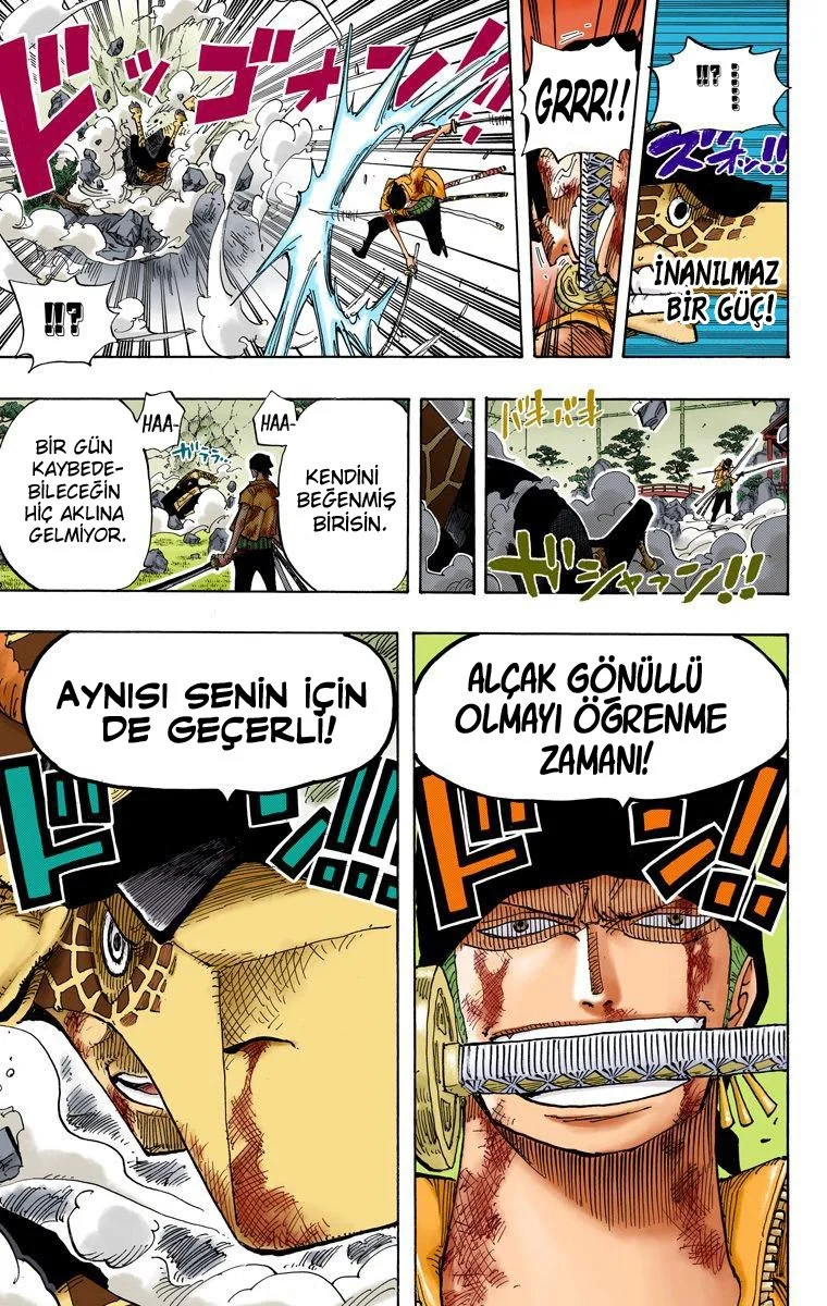 One Piece - Bölüm 416 - Sayfa 19
