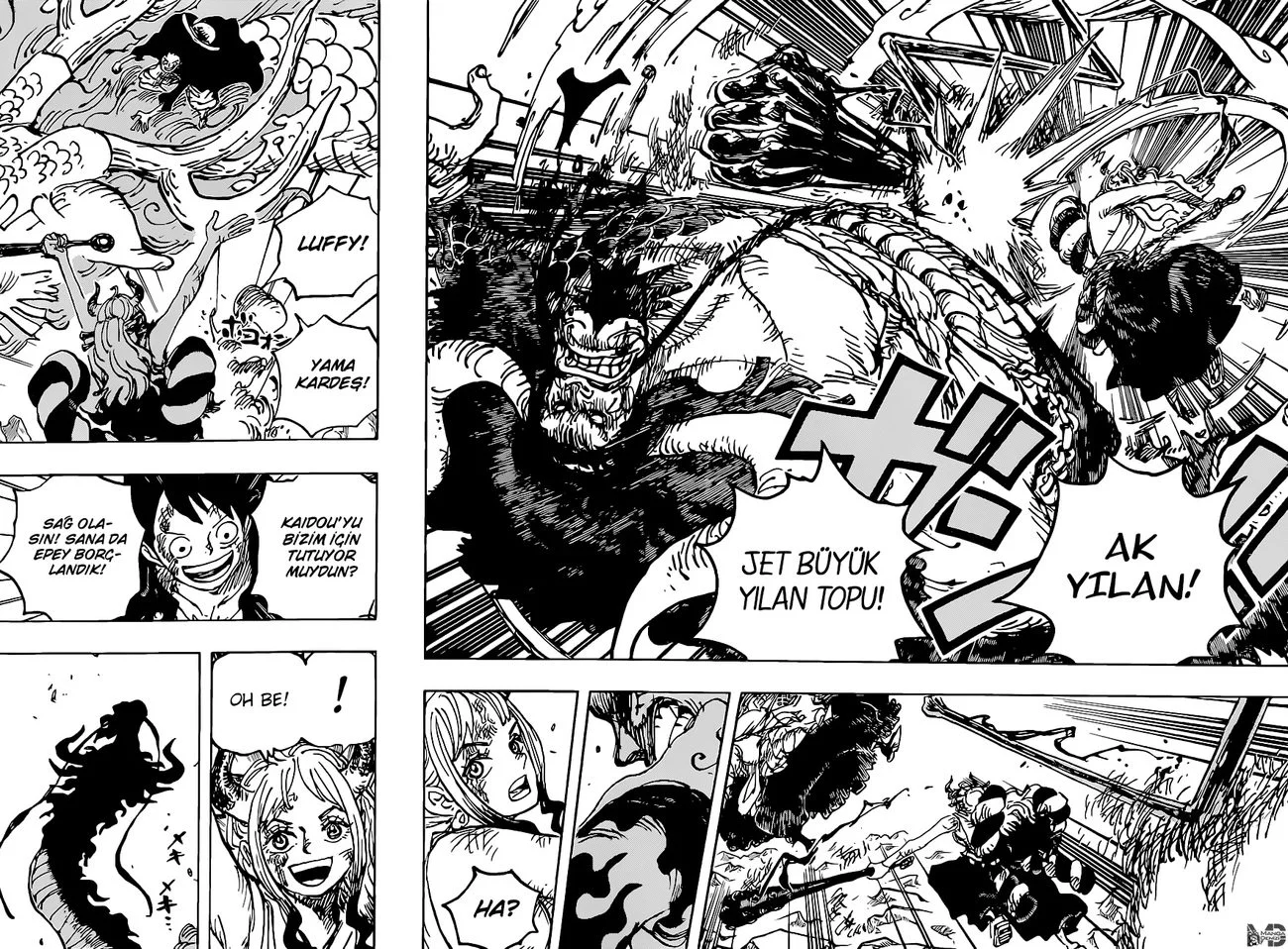 One Piece - Bölüm 1025 - Sayfa 15