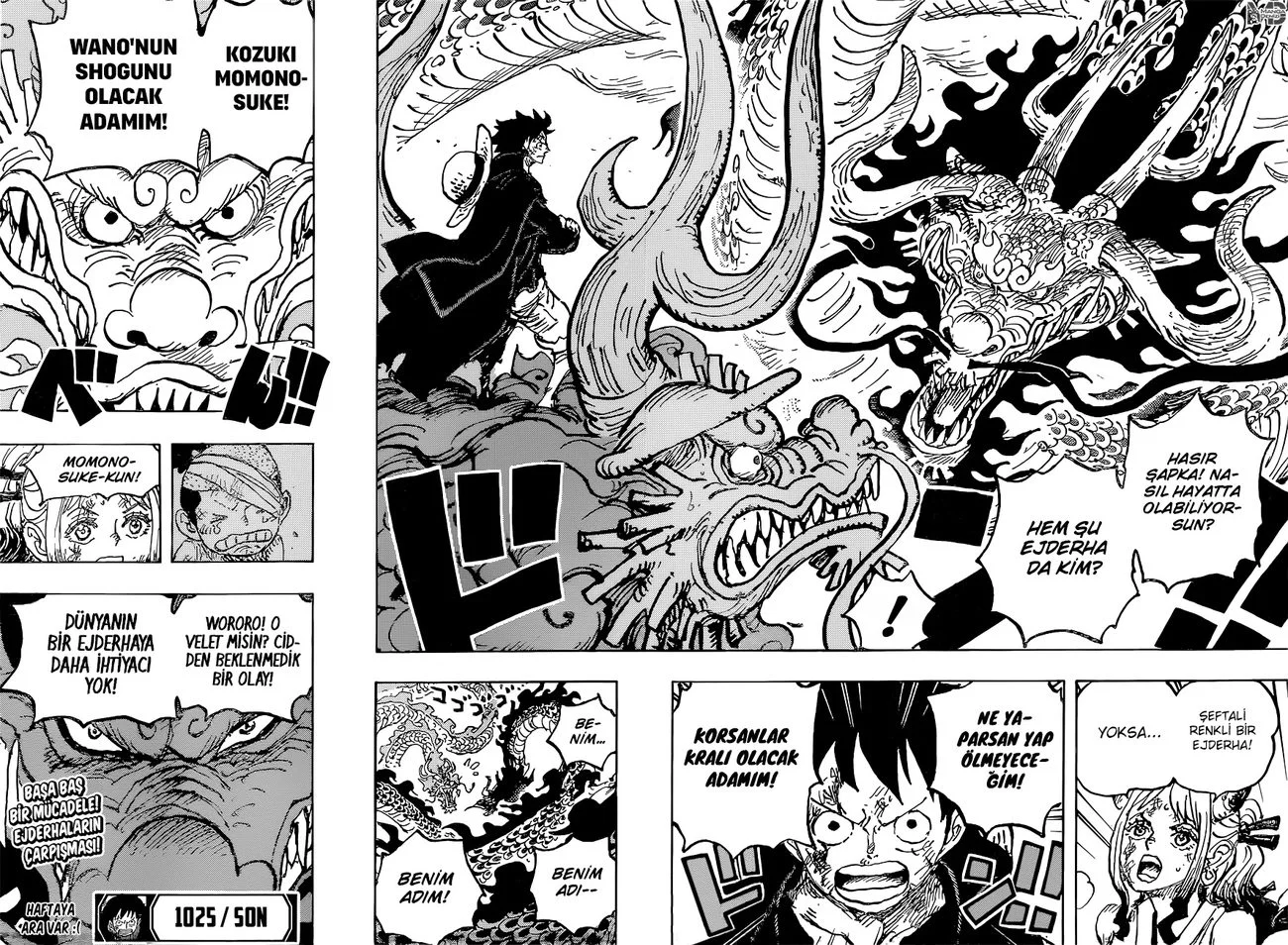 One Piece - Bölüm 1025 - Sayfa 16