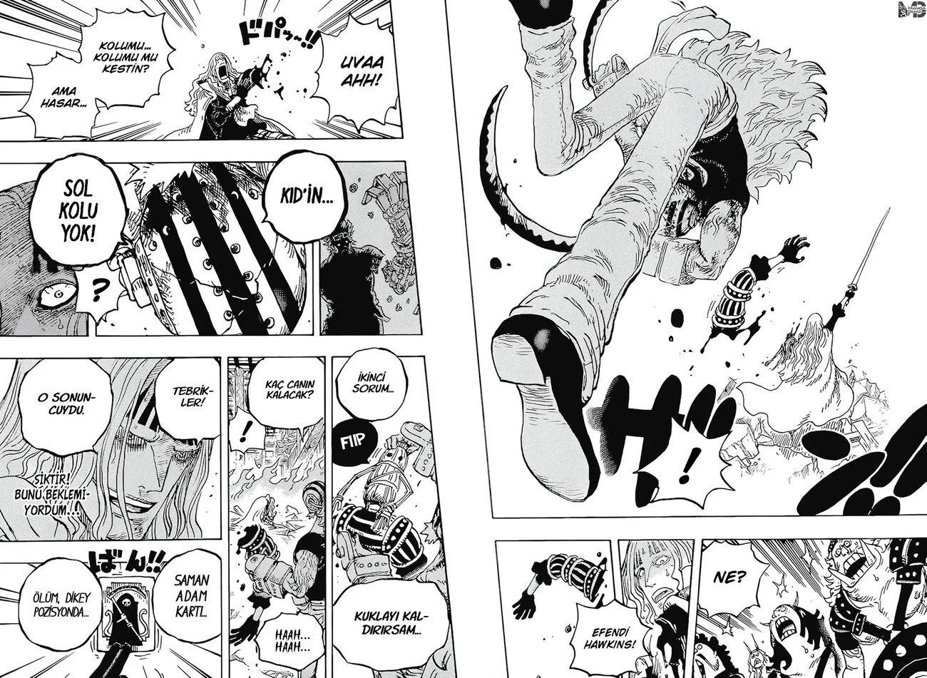 One Piece - Bölüm 1029 - Sayfa 12