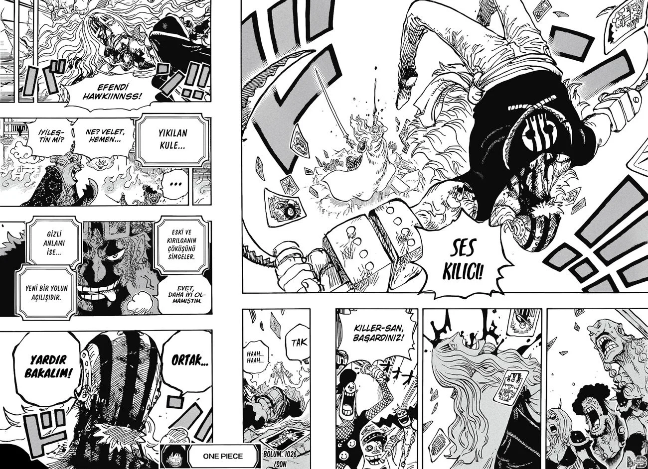 One Piece - Bölüm 1029 - Sayfa 14