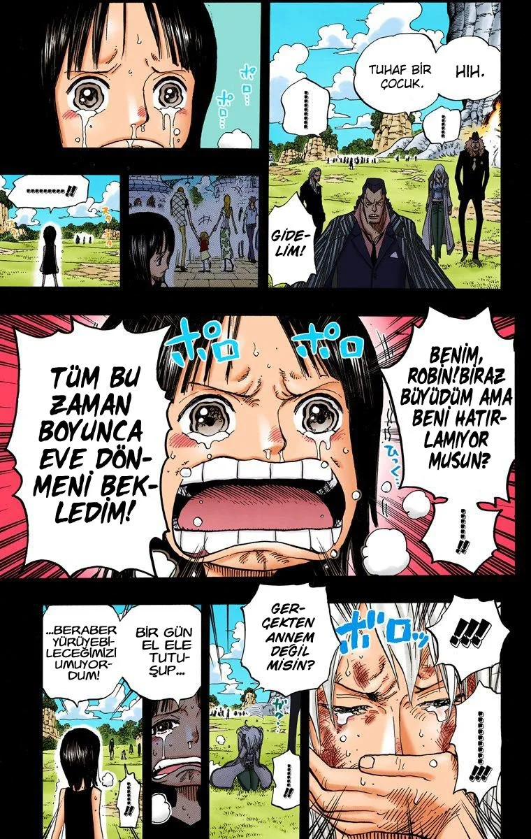 One Piece - Bölüm 395 - Sayfa 17