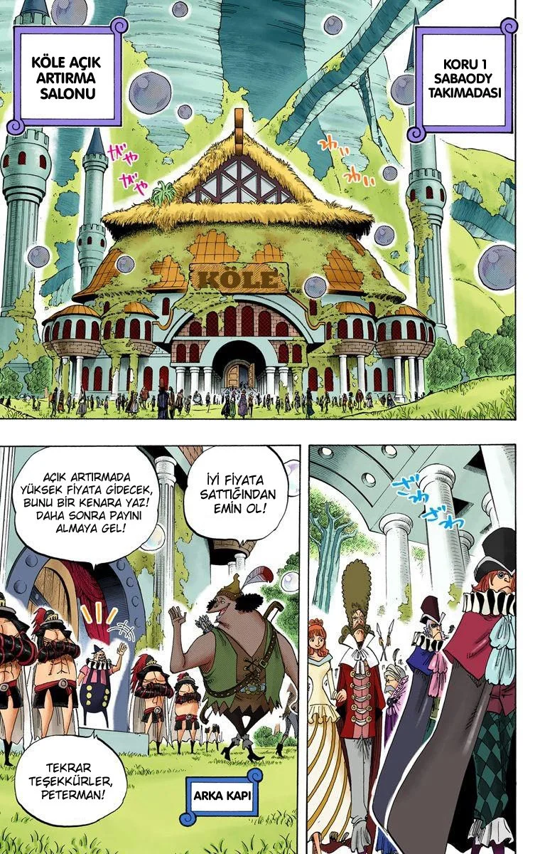 One Piece - Bölüm 500 - Sayfa 13