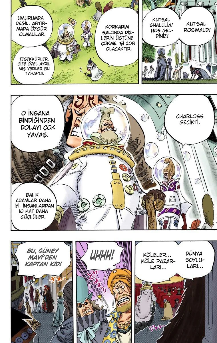 One Piece - Bölüm 500 - Sayfa 14