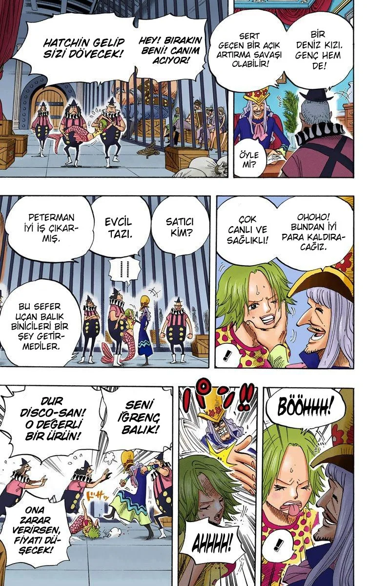 One Piece - Bölüm 500 - Sayfa 17