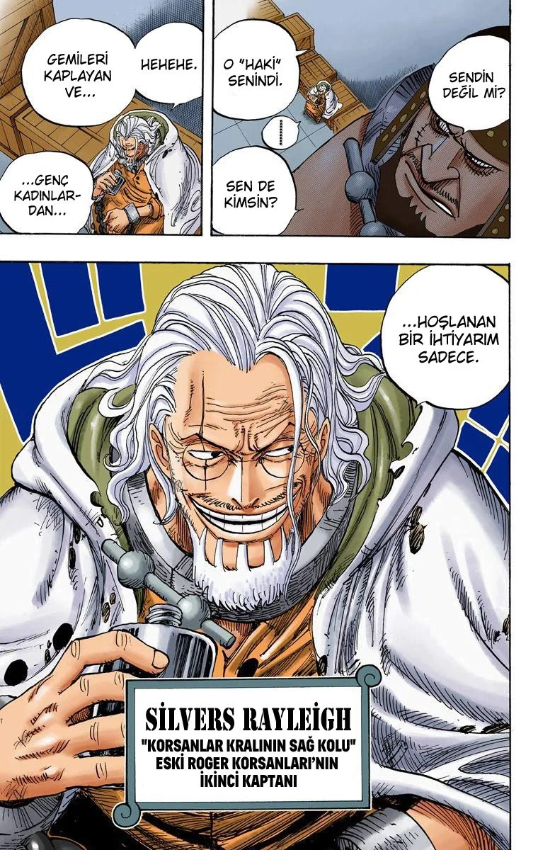 One Piece - Bölüm 500 - Sayfa 19