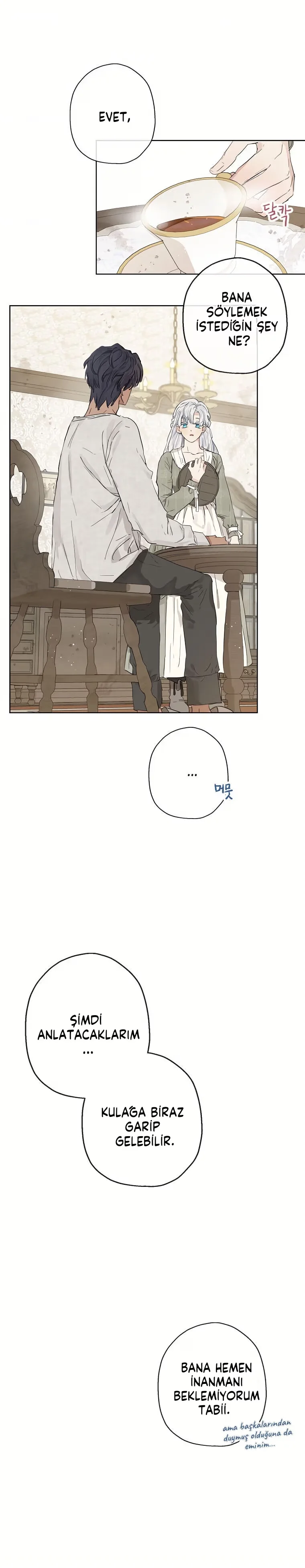 When The Count's Illegitimate Daughter Gets Married - Bölüm 9 - Sayfa 4