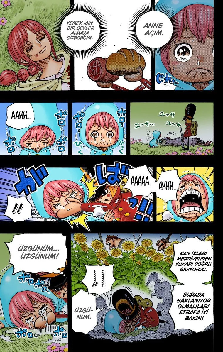One Piece - Bölüm 721 - Sayfa 9