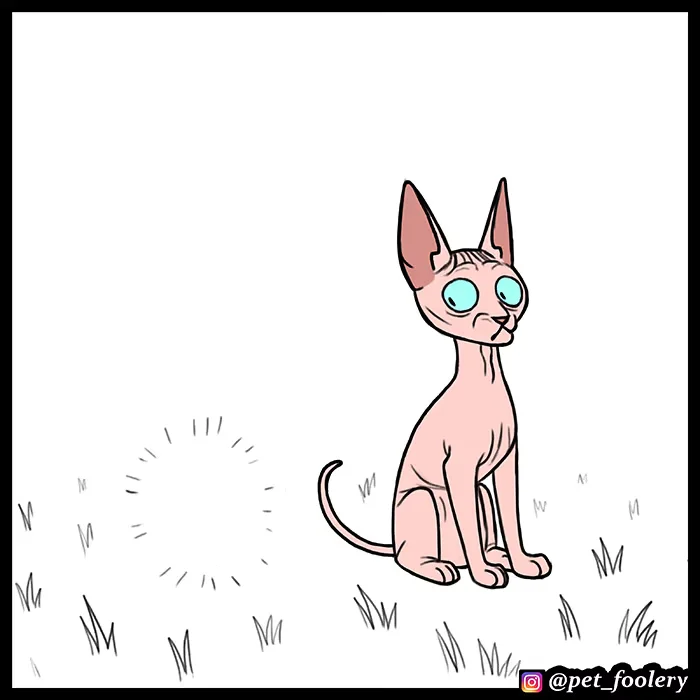 Pixie and Brutus - Bölüm 55 - Sayfa 4