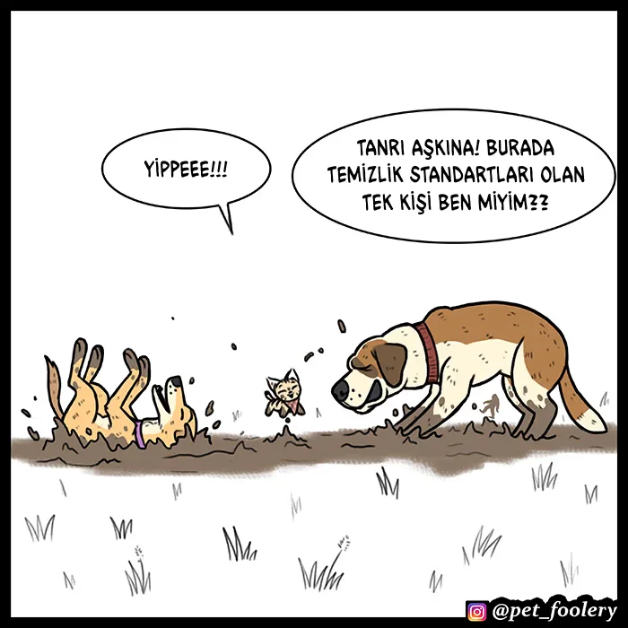 Pixie and Brutus - Bölüm 55 - Sayfa 5