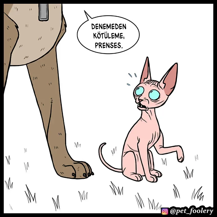 Pixie and Brutus - Bölüm 55 - Sayfa 6