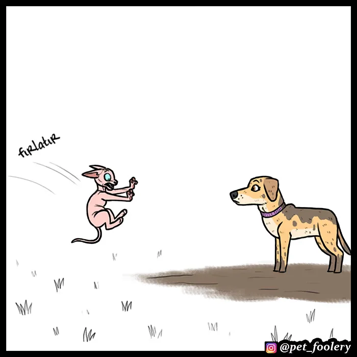 Pixie and Brutus - Bölüm 55 - Sayfa 7