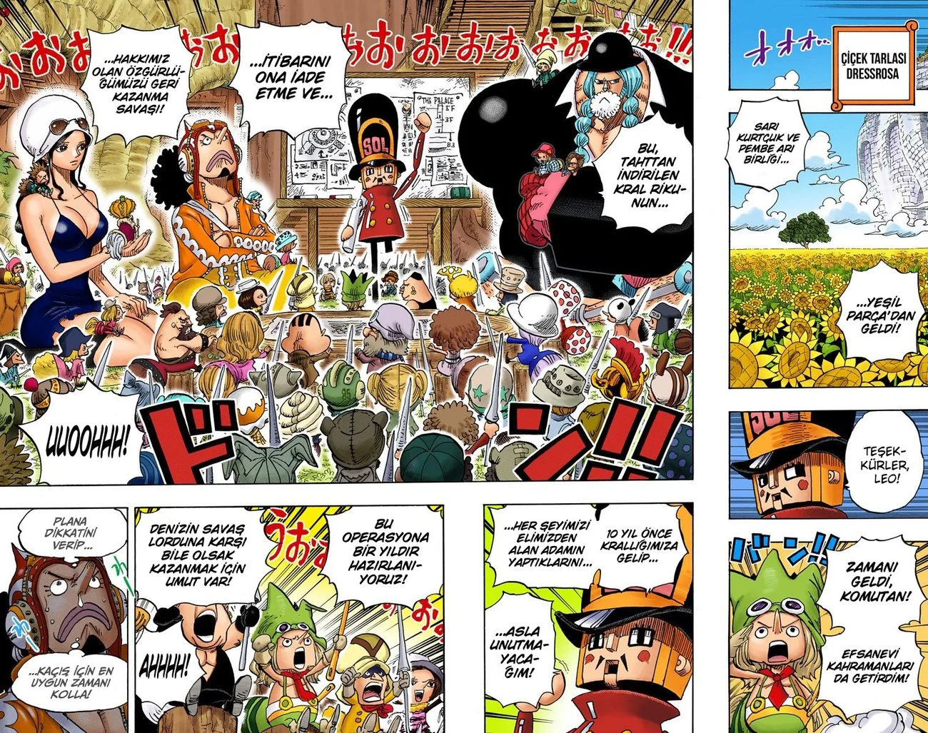 One Piece - Bölüm 722 - Sayfa 10
