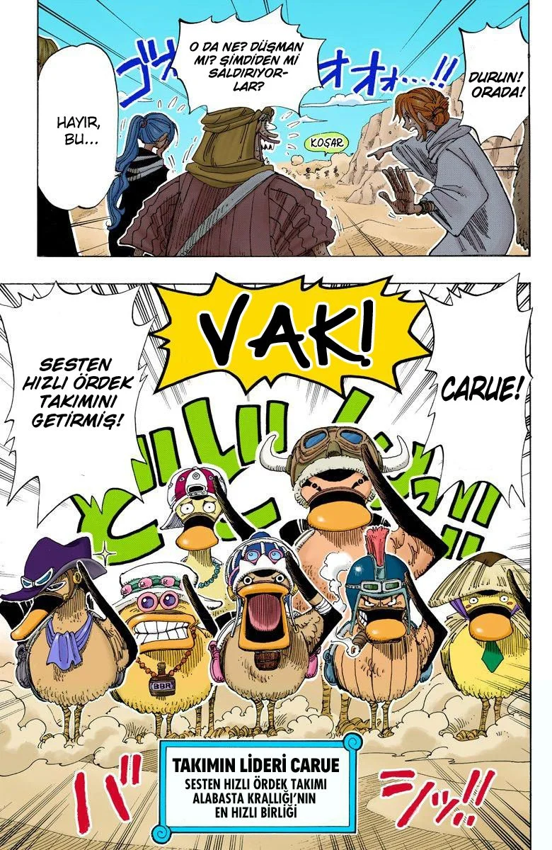 One Piece - Bölüm 180 - Sayfa 17