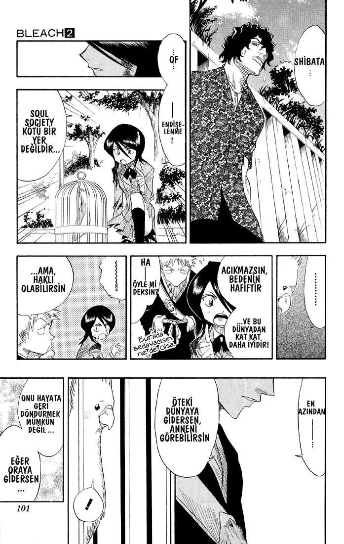 Bleach - Bölüm 12 - Sayfa 14