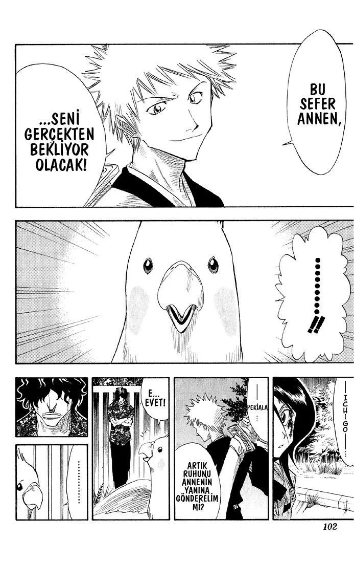 Bleach - Bölüm 12 - Sayfa 15