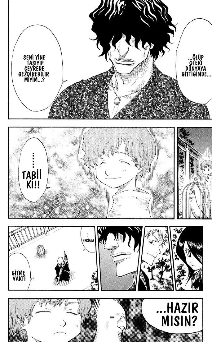 Bleach - Bölüm 12 - Sayfa 17