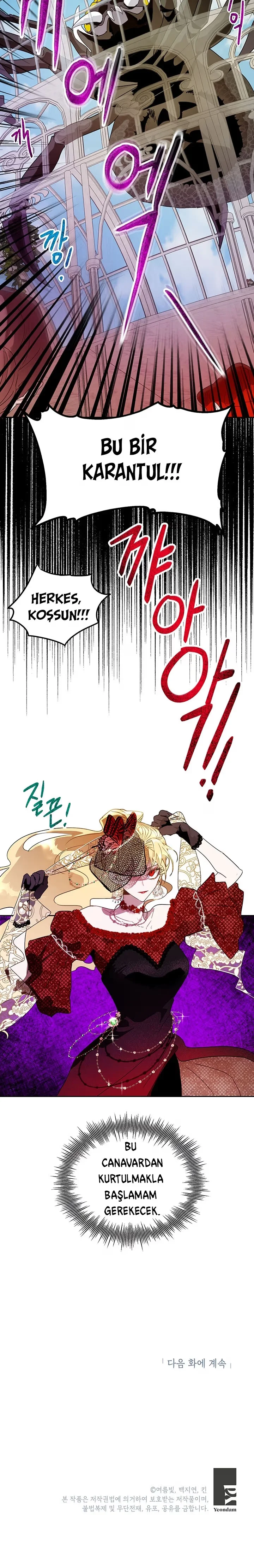 Roxana - Bölüm 14 - Sayfa 21