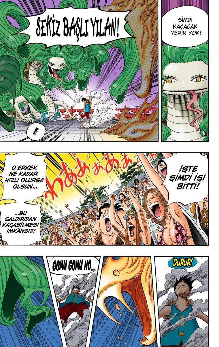 One Piece - Bölüm 520 - Sayfa 10