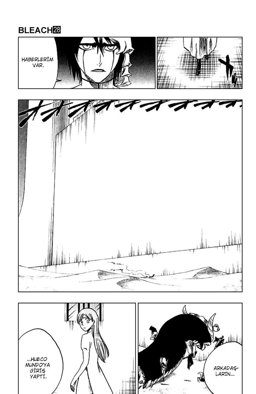 Bleach - Bölüm 247 - Sayfa 17