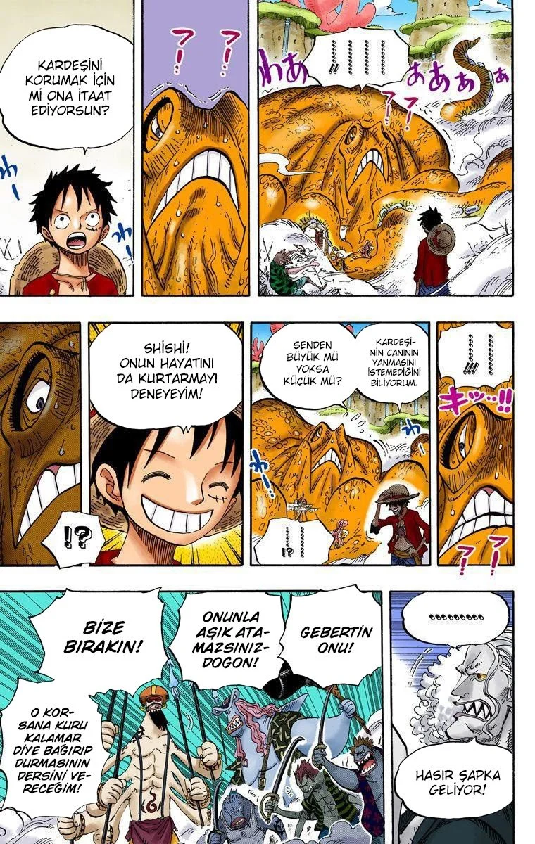 One Piece - Bölüm 636 - Sayfa 14