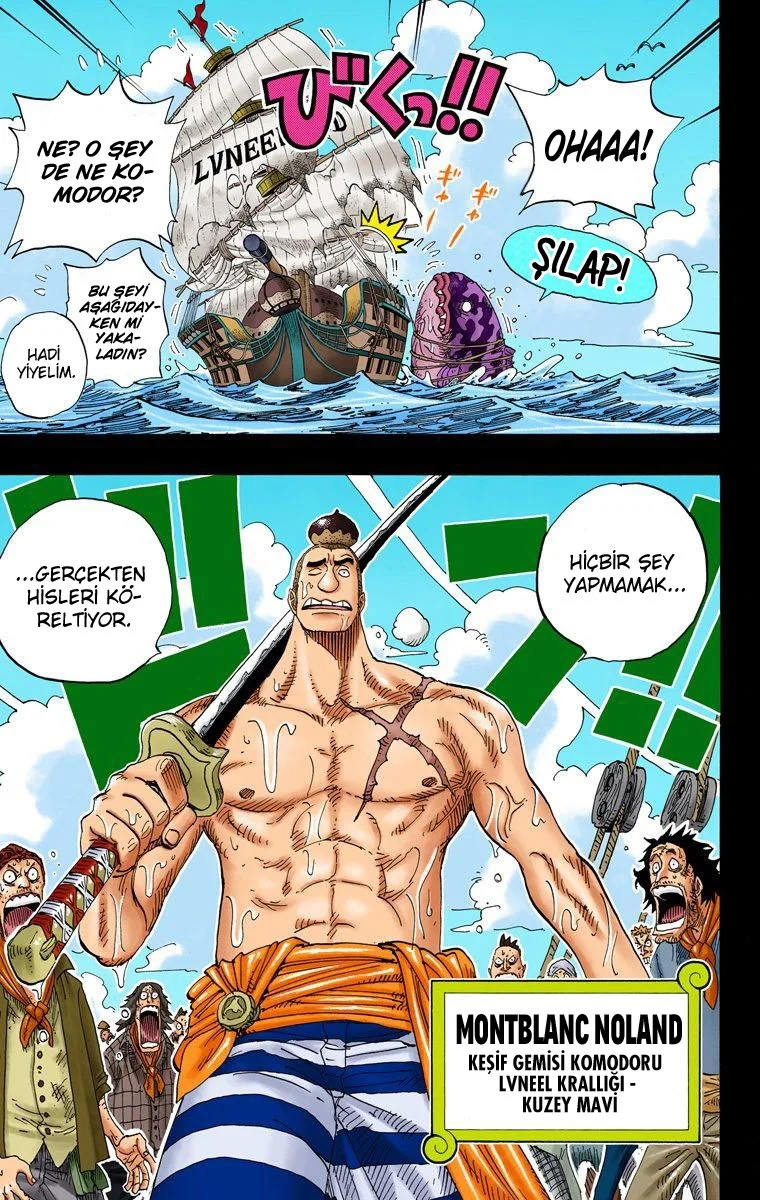 One Piece - Bölüm 286 - Sayfa 17