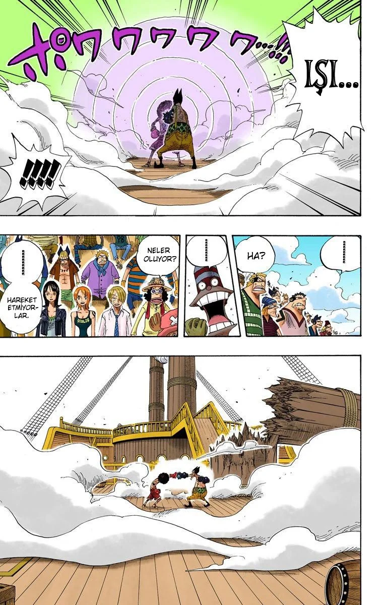 One Piece - Bölüm 317 - Sayfa 14
