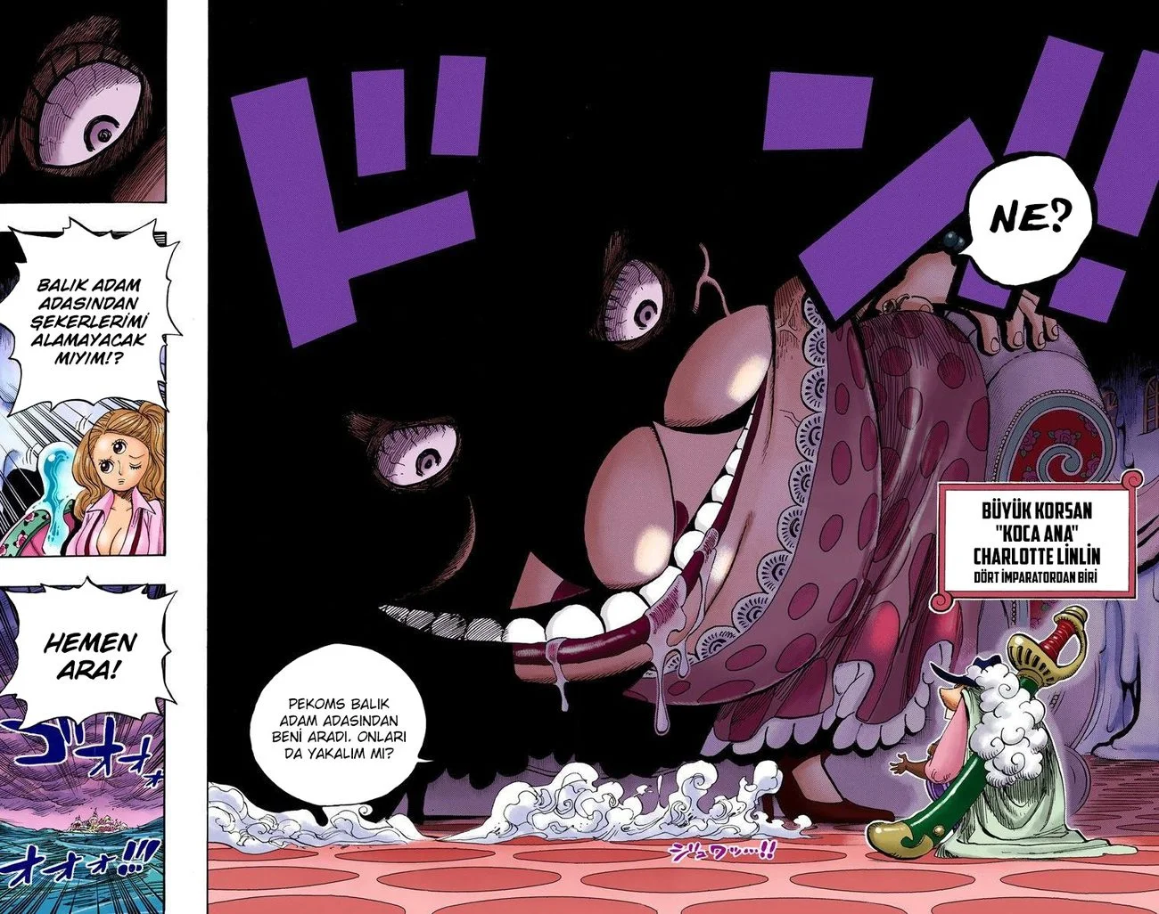 One Piece - Bölüm 651 - Sayfa 11