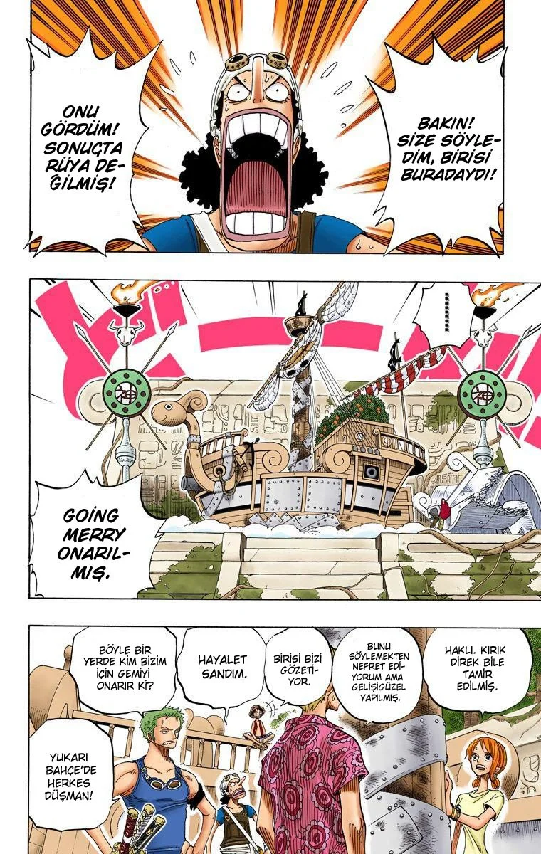 One Piece - Bölüm 254 - Sayfa 13