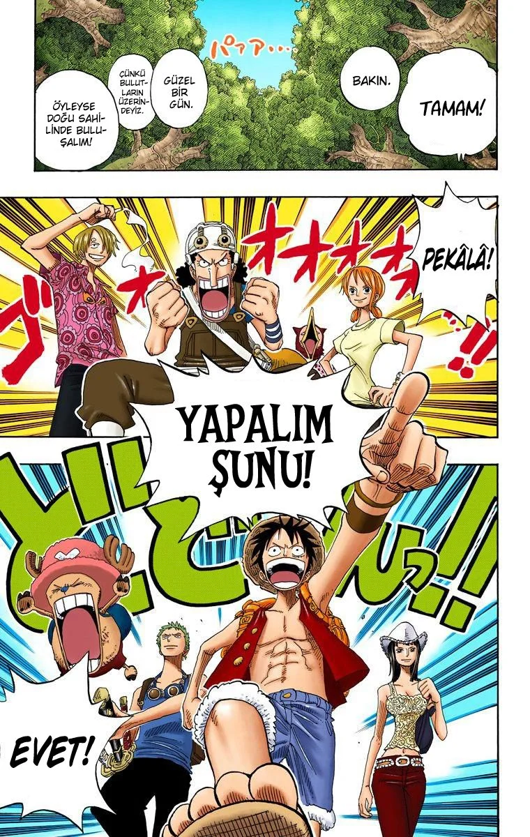 One Piece - Bölüm 254 - Sayfa 16