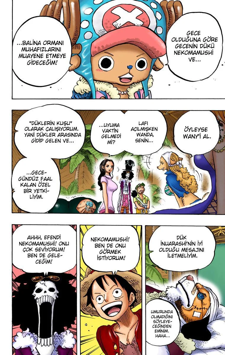One Piece - Bölüm 811 - Sayfa 15