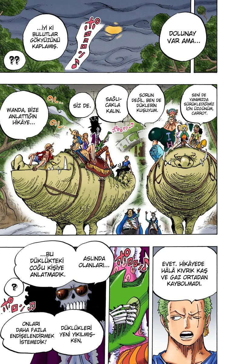 One Piece - Bölüm 811 - Sayfa 16