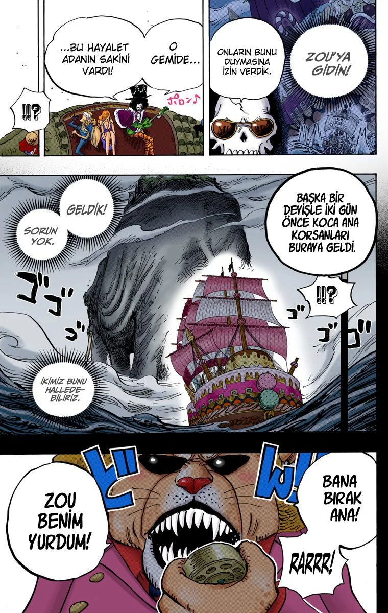 One Piece - Bölüm 811 - Sayfa 18