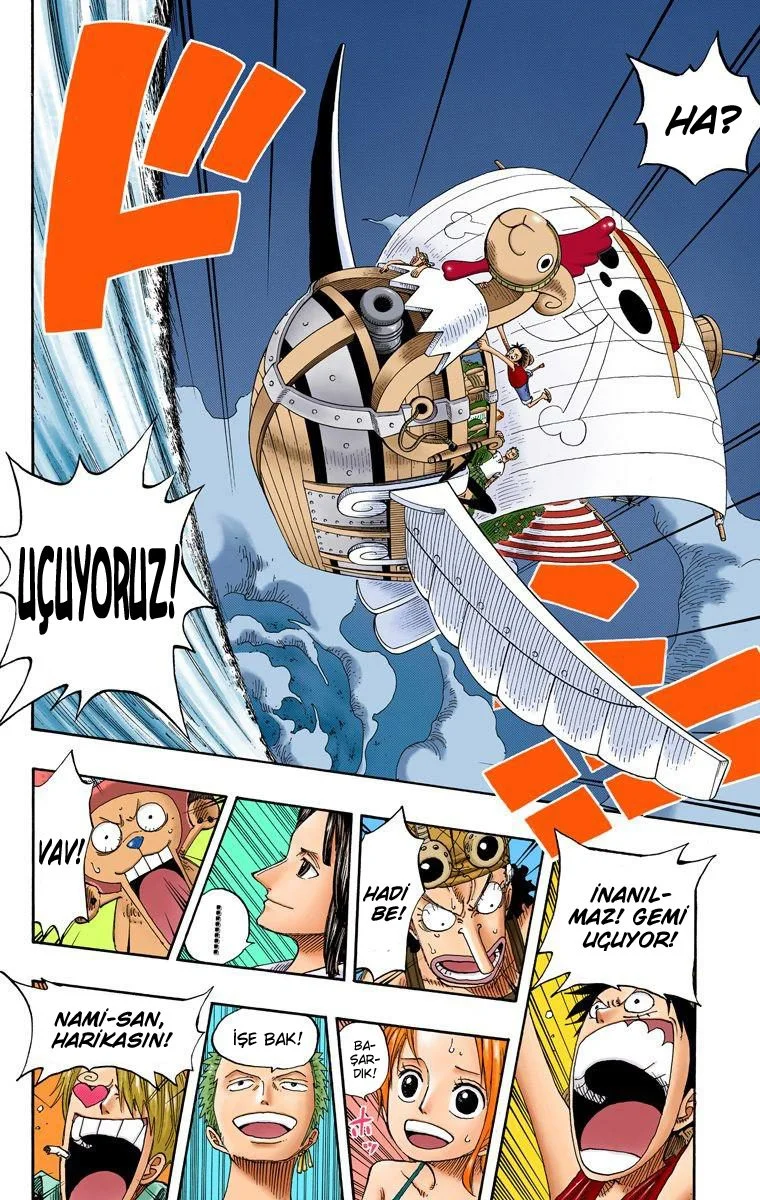 One Piece - Bölüm 236 - Sayfa 17