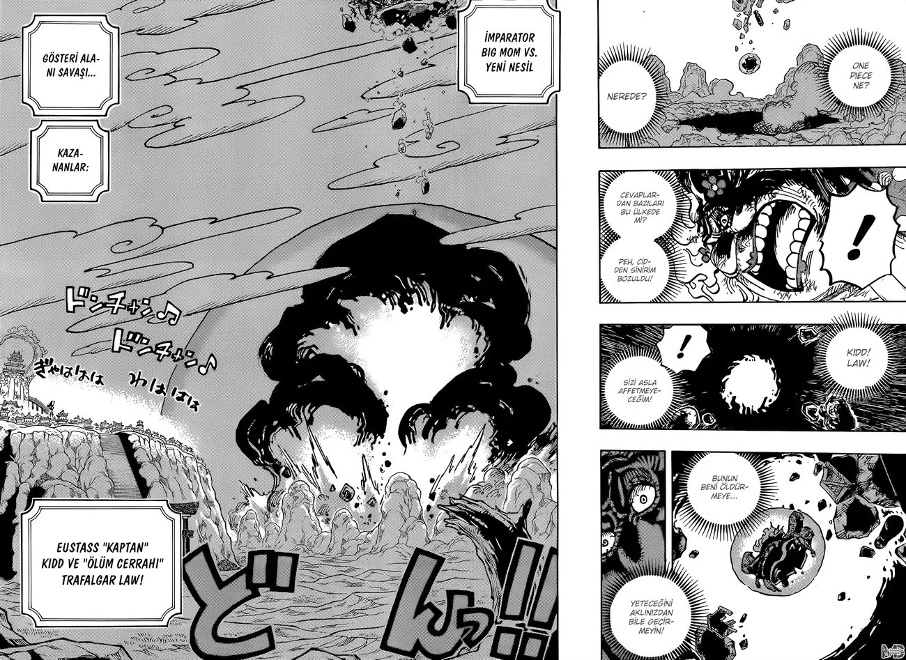 One Piece - Bölüm 1040 - Sayfa 10