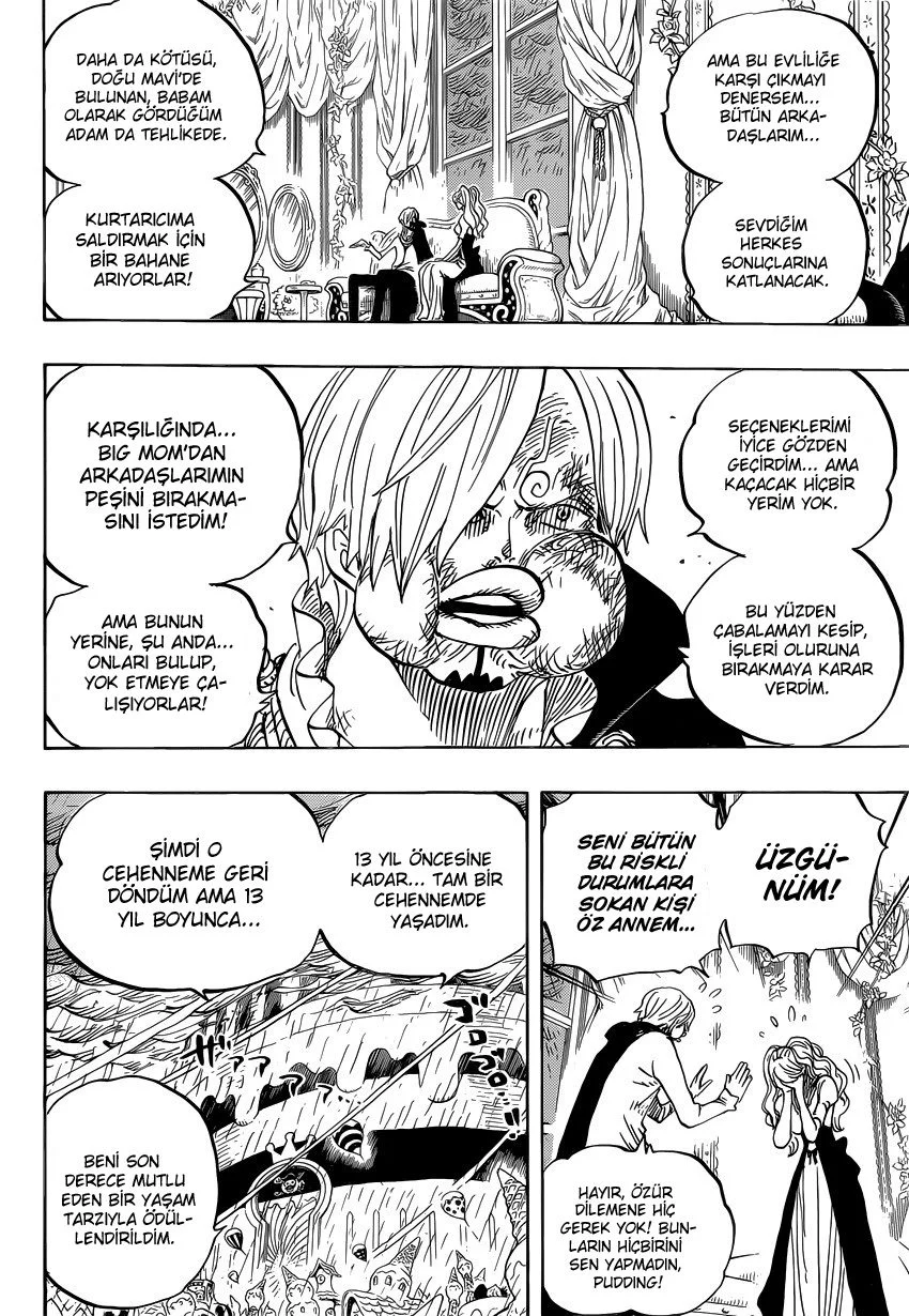 One Piece - Bölüm 845 - Sayfa 13