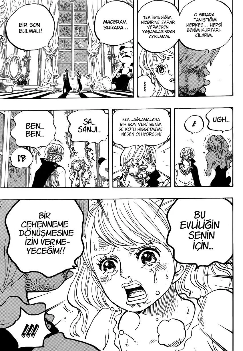 One Piece - Bölüm 845 - Sayfa 14
